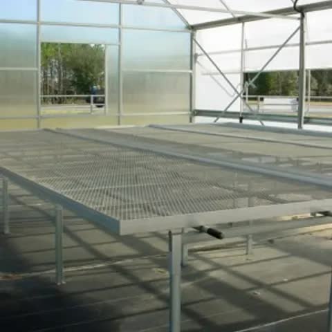 ATLAS Commercial Grade Rolling Bench