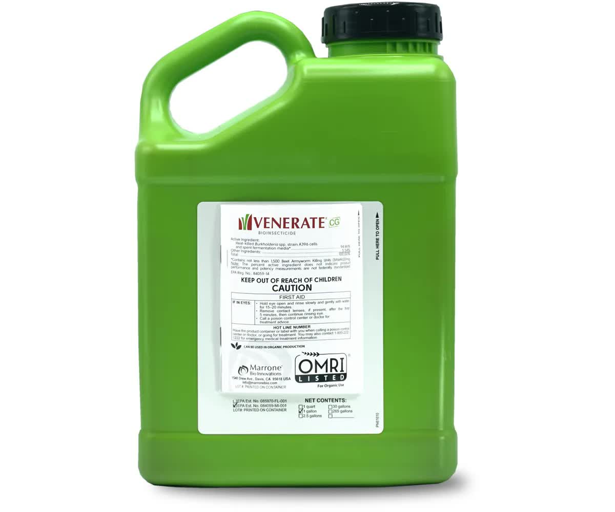 Marrone Bio Venerate CG Bioinsecticide, GALLON