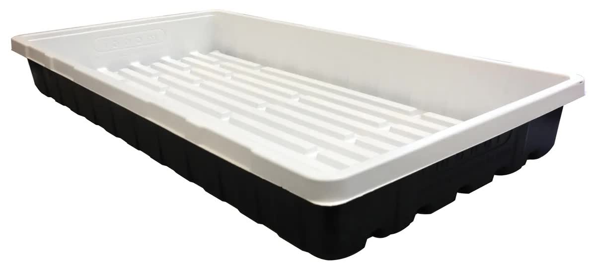 Mondi Black & White 10x20 Propagation Tray, No Holes