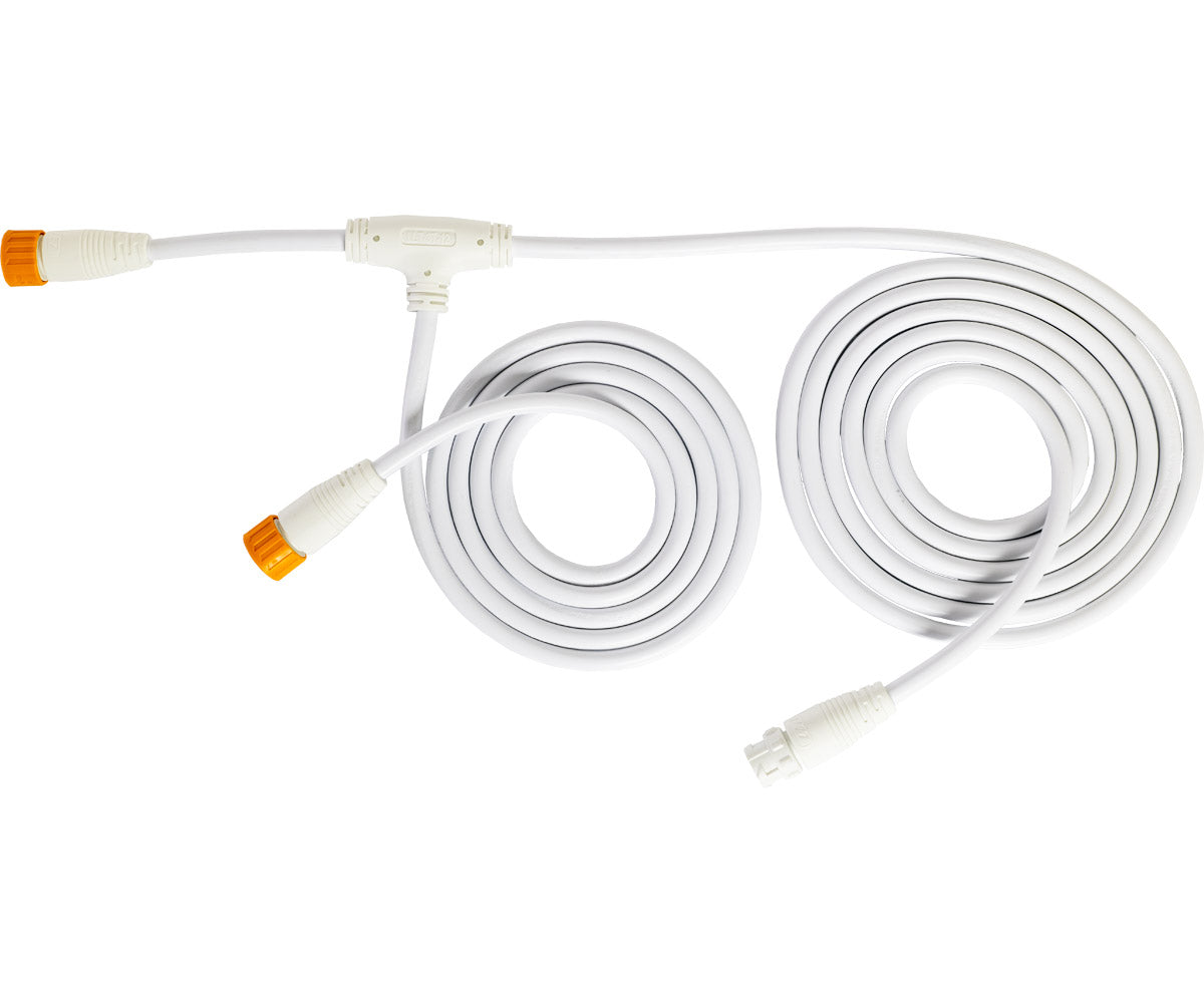 White PHOTOBIO PHOTO LOC T Cable with coiled trunk and branch sections