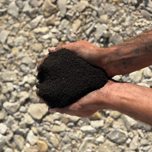 Close-up of Bio-Boost worm castings texture — rich, dark, biologically active soil amendment