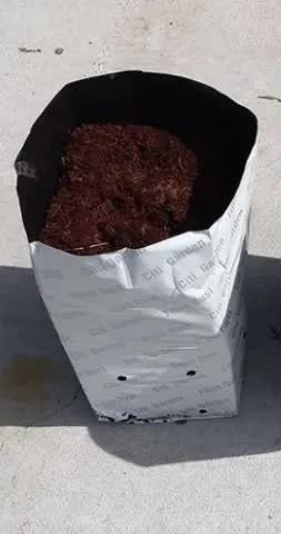 FibreDust 3-gallon plastic grow bag with fitted compressed coir block 8x7x8 inches