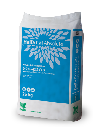 Haifa Cal™ Absolute