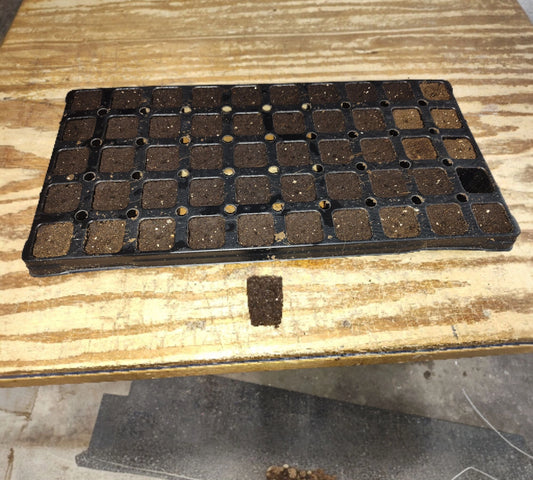 Speedy Root 50-cell starter tray unwrapped showing individual peat plug cells.