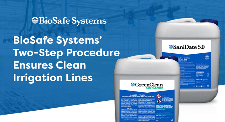 Biosafe systems two step procedure of GreenClean and SaniDate 5.0 ensures clean irrigation lines.