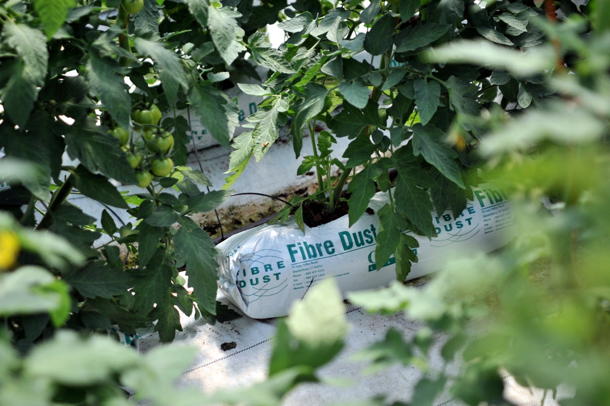 FibreDust Coconut Coir Grow Slabs & Lay-Flat Bags - 1 Meter