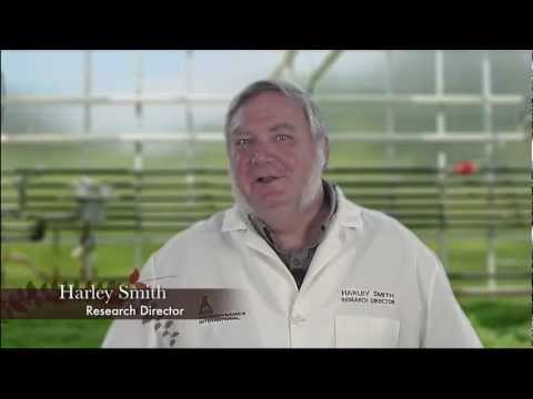 Clonex Gel 15mL packet