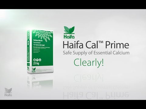 Haifa Cal Prime 17-0-0 calcium nitrate fertilizer 55 lb.
