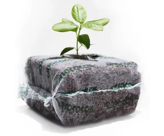 RIOCOCO PCM Starter Blocks