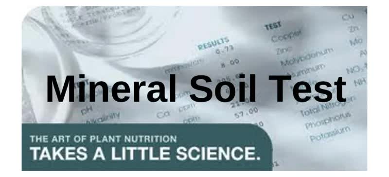 Mineral Soil Test