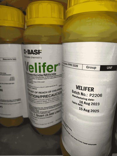 Velifer in stock, Expiration date.