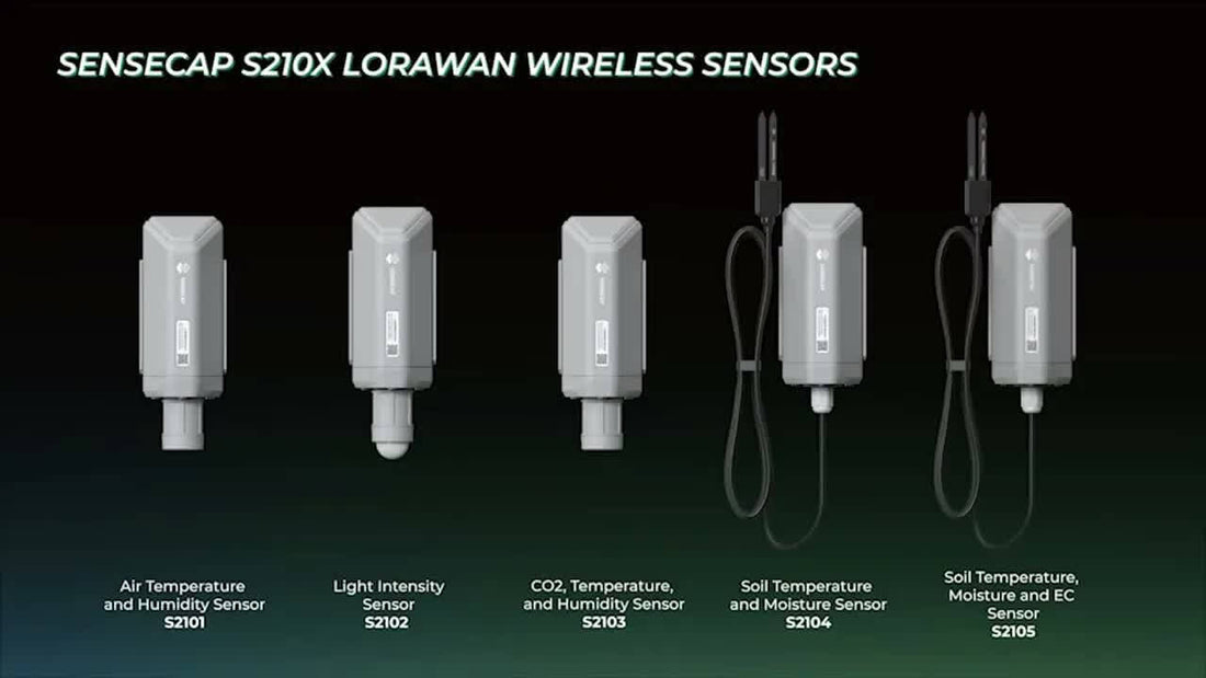 SenseCAP S210X LoRaWAN wireless sensors deployed in a commercial greenhouse for real-time soil moisture, temperature, and EC monitoring