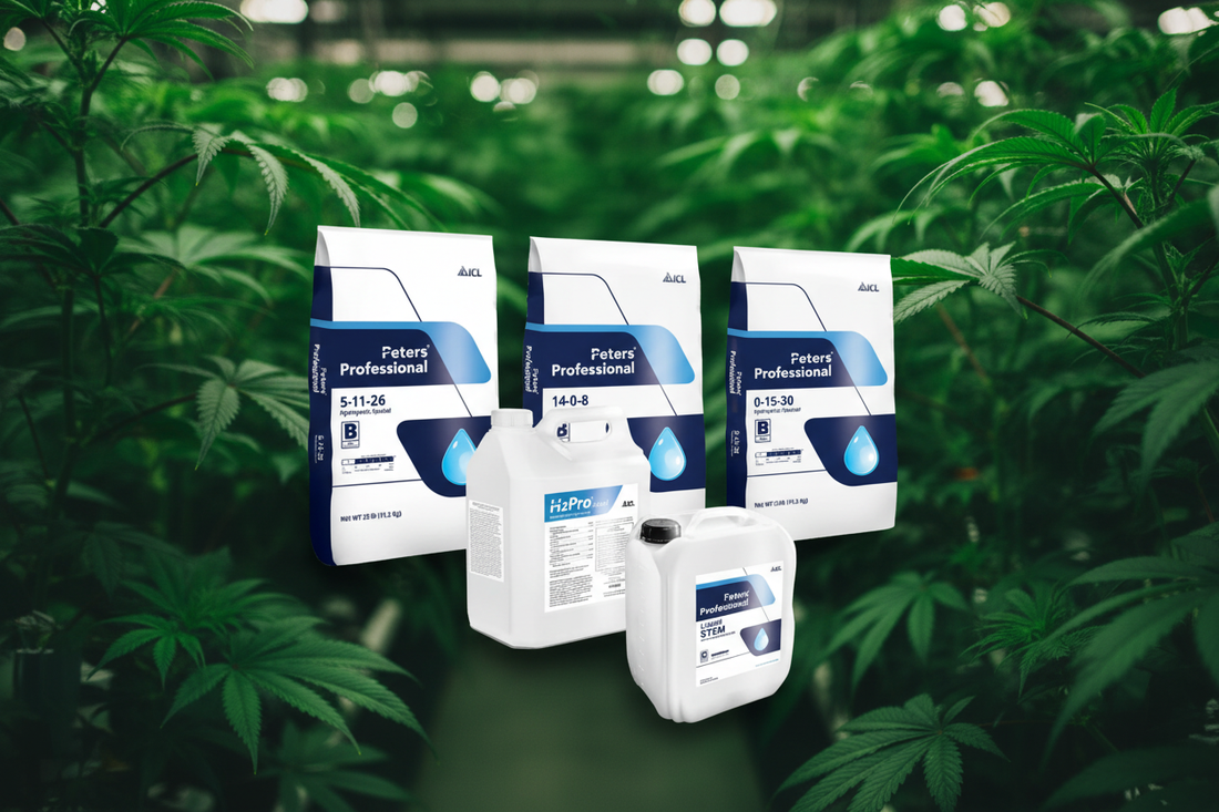 Peters Professional Canna+ hydroponic nutrient feed chart — complete program by ICL including 5-11-26, CalciNit, 14-0-8 Boost, 0-15-30 Finisher, Liquid S.T.E.M., and H2Pro