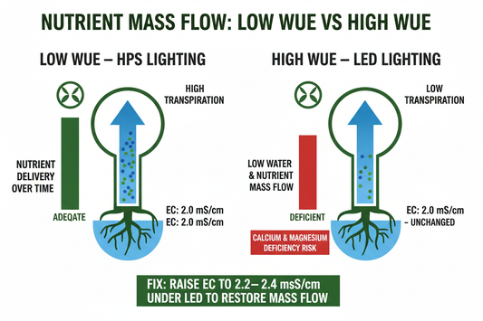 Why Switching from HPS to LED Increases Water Use Efficiency — And What It Means for Your EC