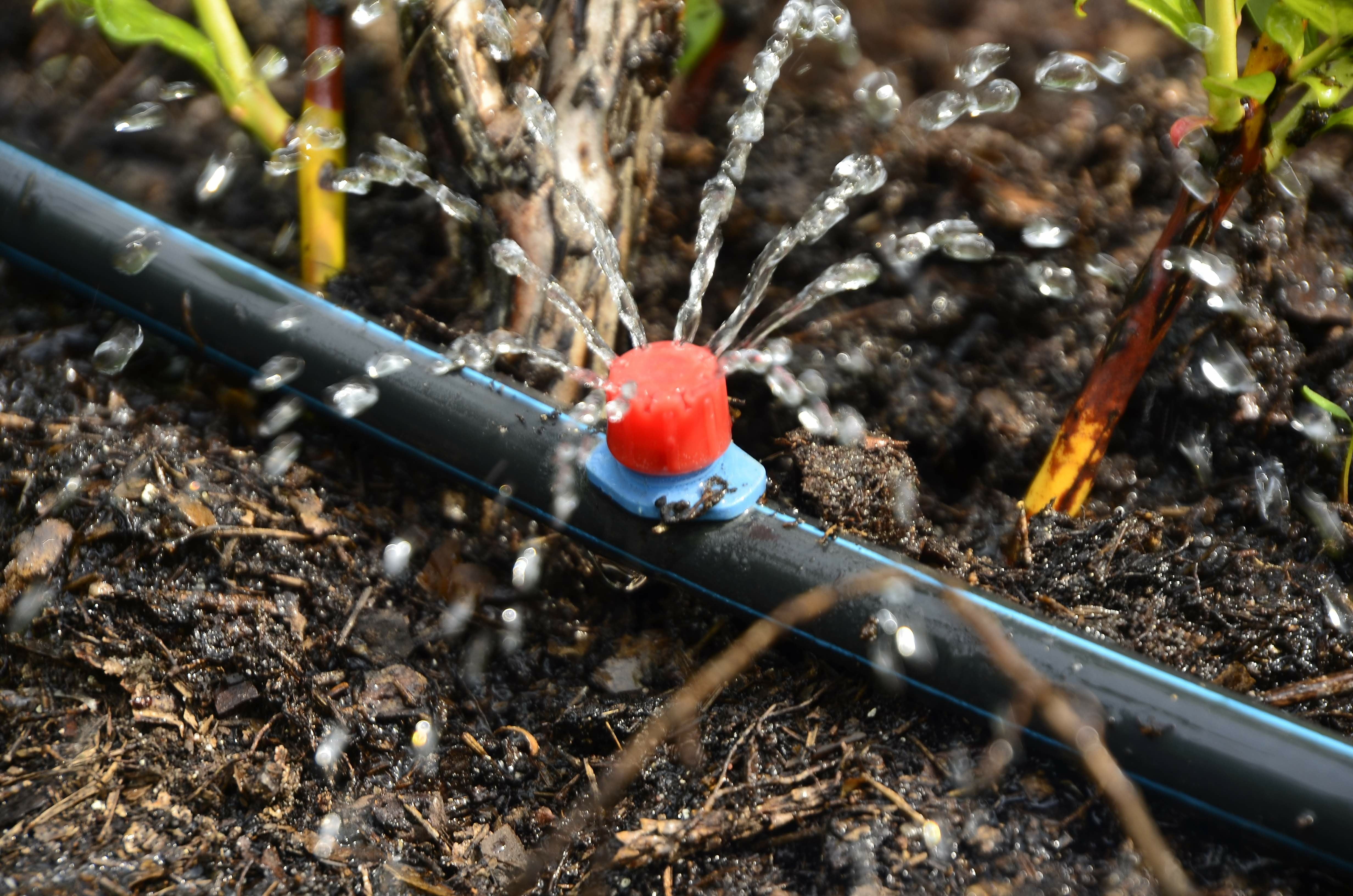 Irrigation & Fertigation