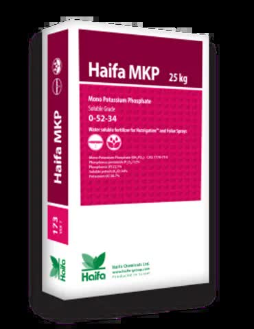 Haifa MKP