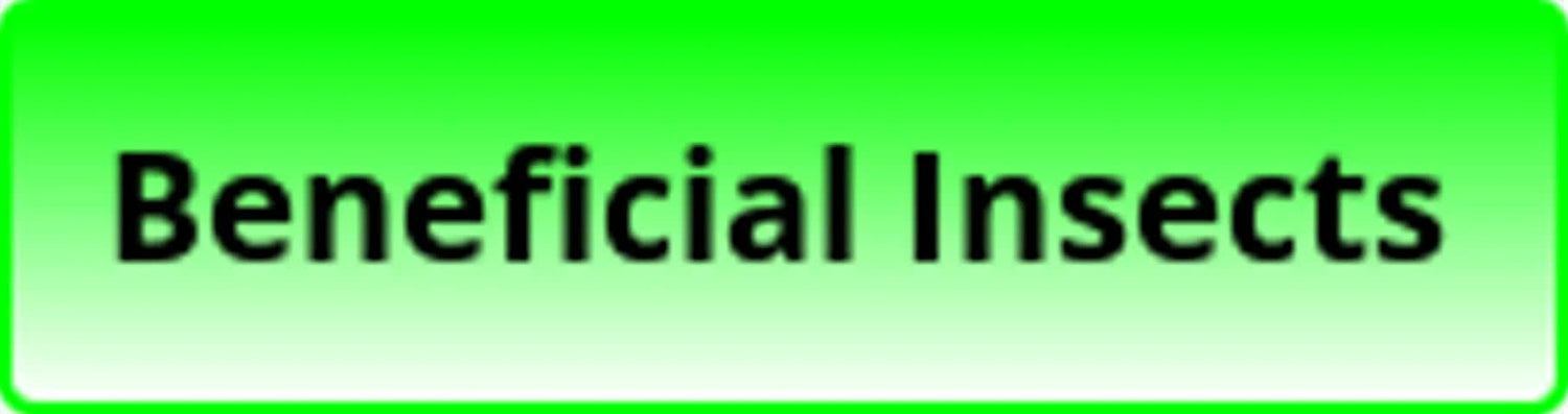 Beneficial Insects