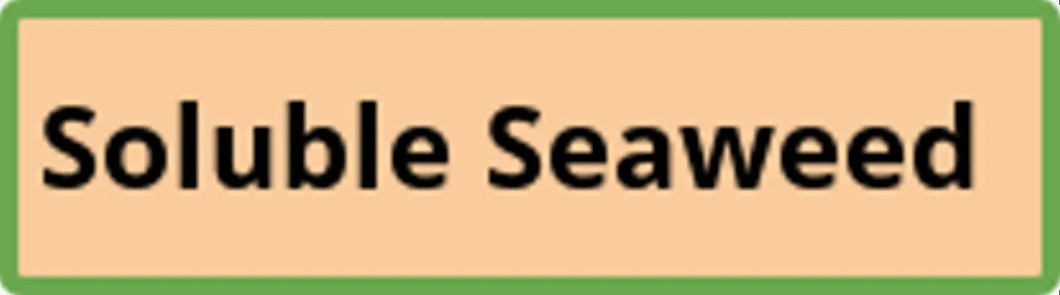 Soluble Seaweed Powder