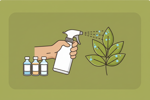 Foliar Fertilizer Supplies