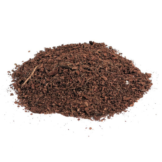 Root Royale Coco Brick RHP Certified 5KG