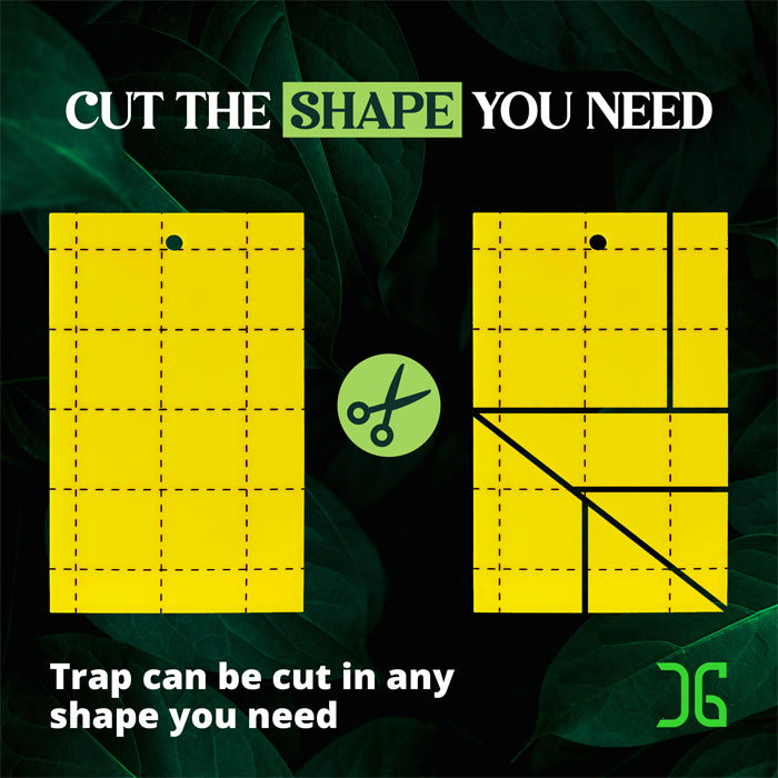 Catchmaster 3" x 5" Double-Sided Yellow Sticky Card Insect Traps (72pcs/Pack)