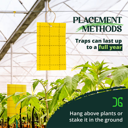 Catchmaster 3" x 5" Double-Sided Yellow Sticky Card Insect Traps (72pcs/Pack)