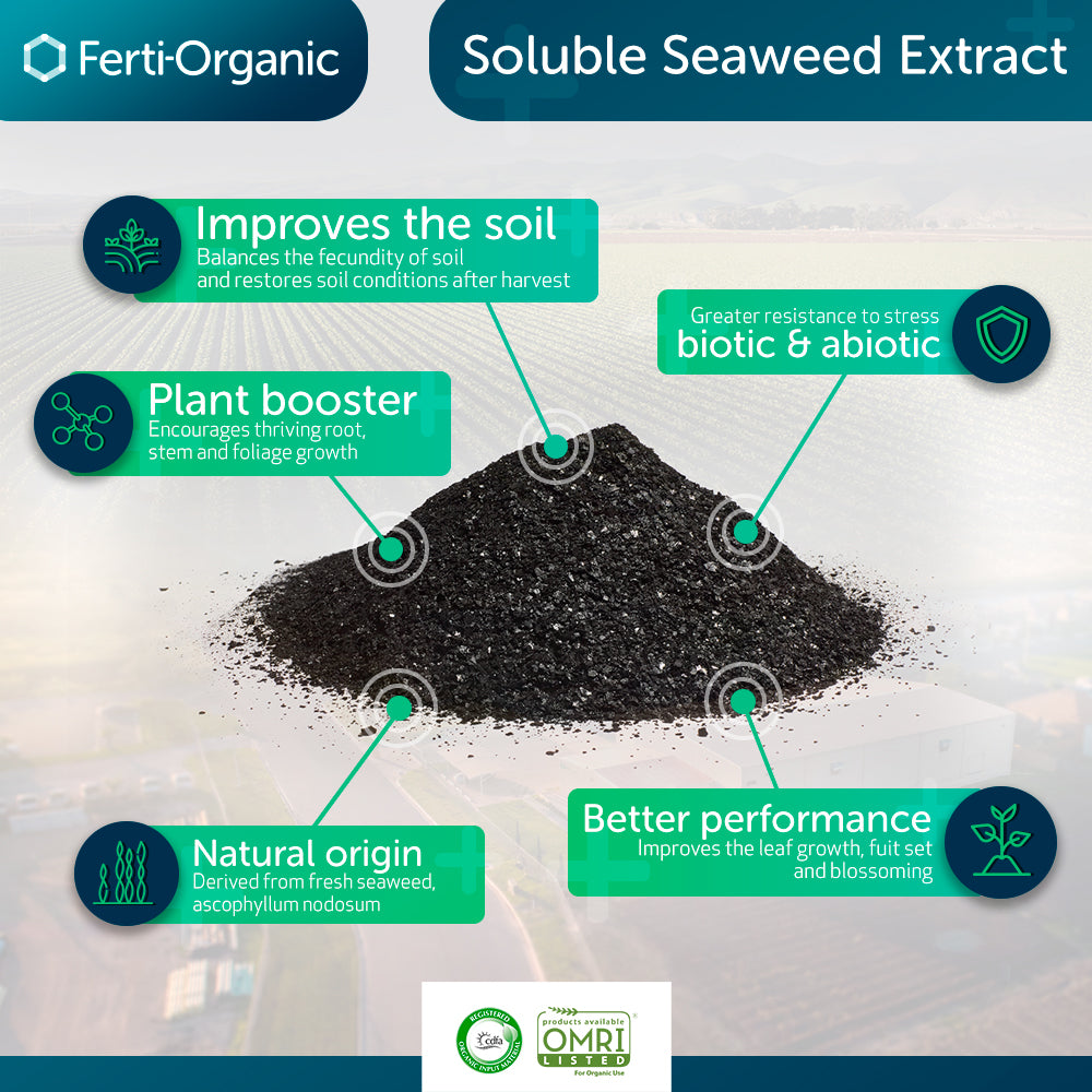 Ferti-Organic Soluble Seaweed Extract 0-0-14 - 1 lb