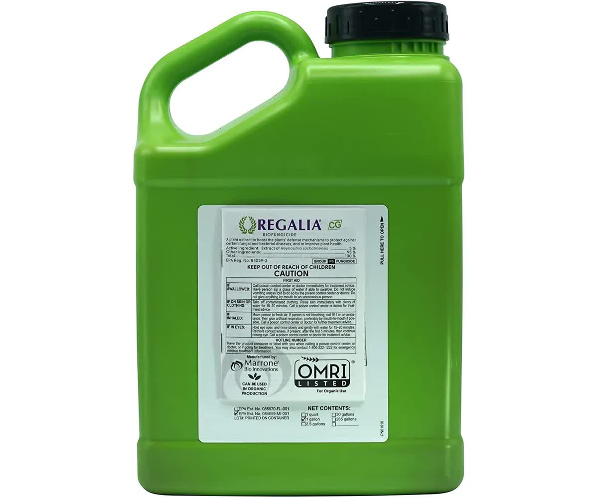 Marrone Bio Regalia CG Biofungicide gallon