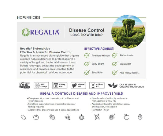 Marrone Bio Regalia CG Biofungicide