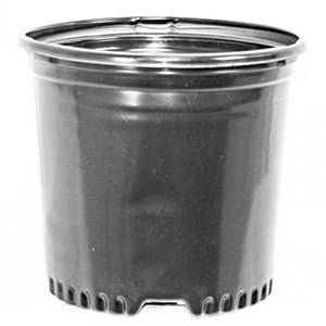 Pressure-Formed True #1 Container - 1 gal