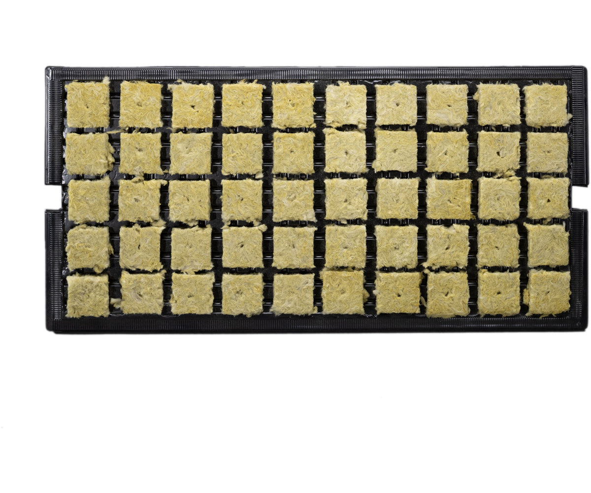Grodan 1.5" AO prefilled tray, case of 1,500