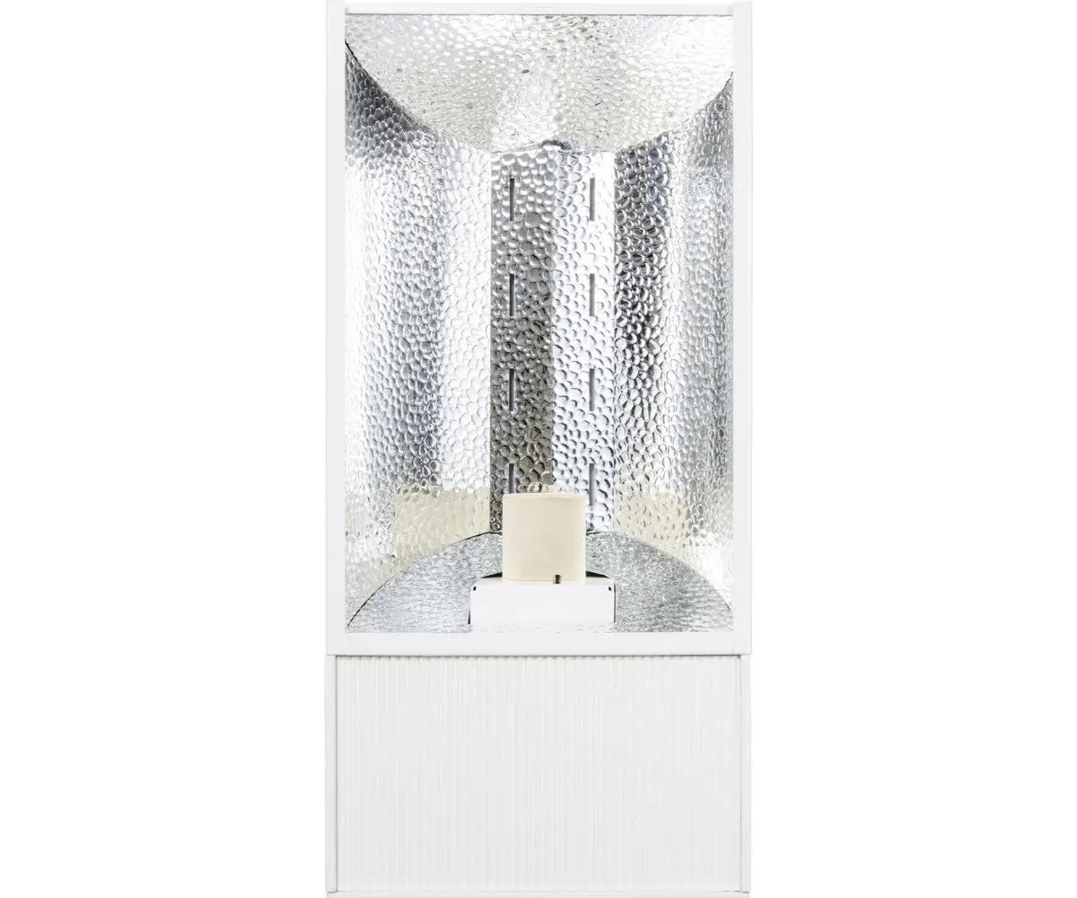 CMH grow light with bulb