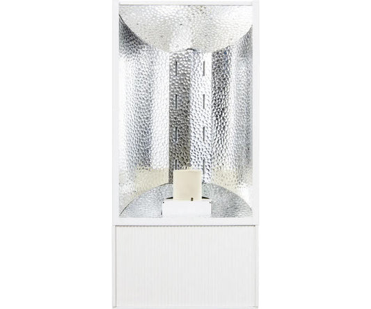 CMH grow light with bulb