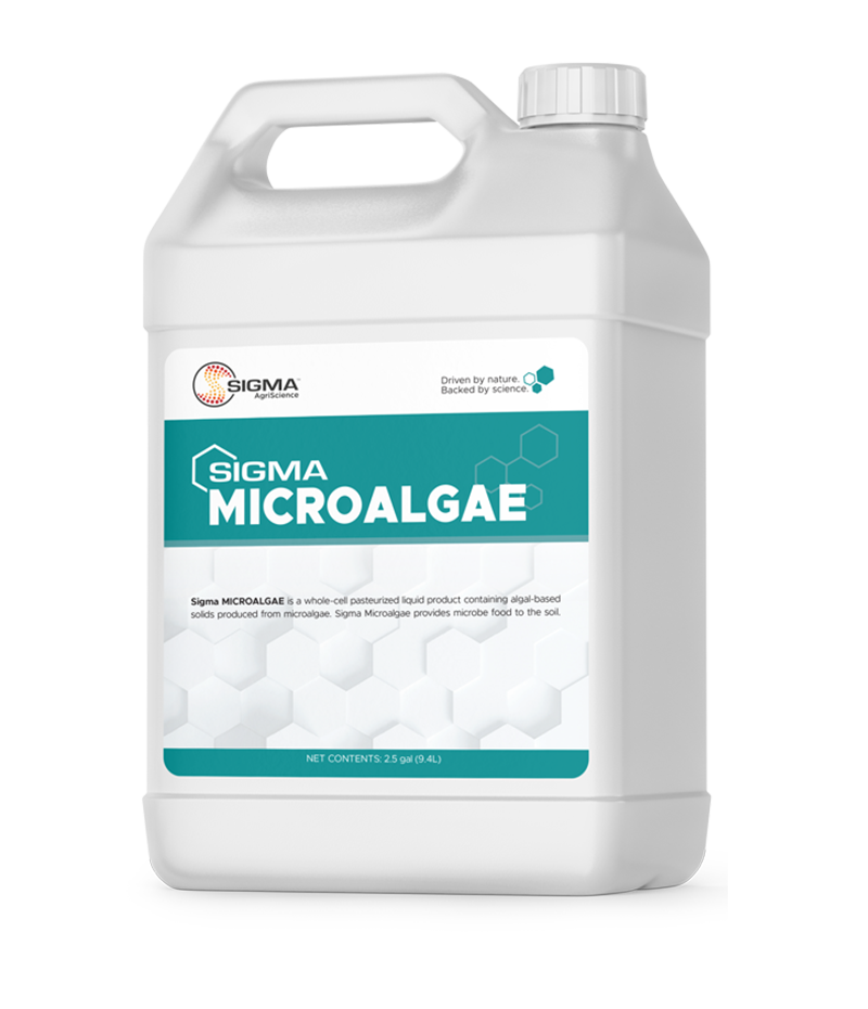 Sigma Microalgae container on a white background