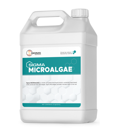 Sigma Microalgae container on a white background