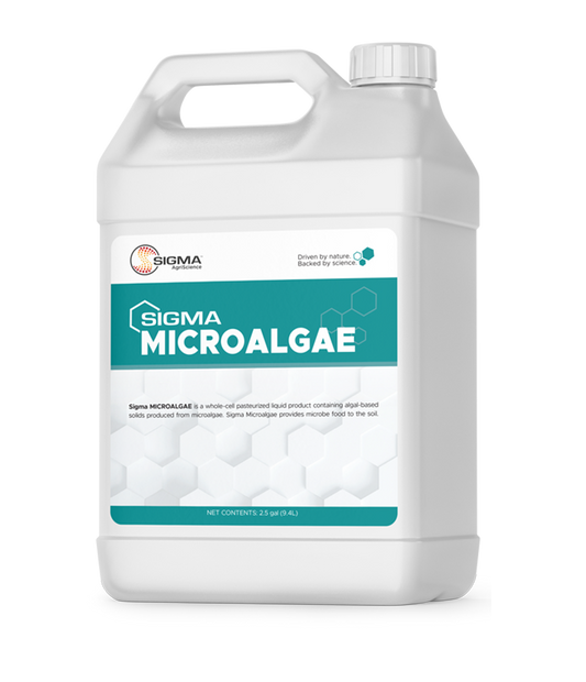 Sigma Microalgae container on a white background