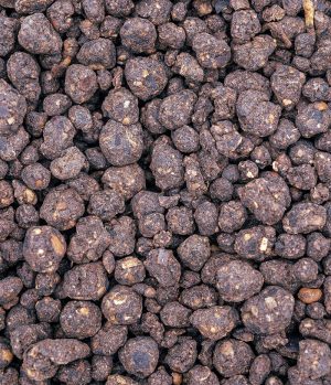 Sigma 6-2-6 Bio Fine With Value-Added Biologicals | 50 lb.