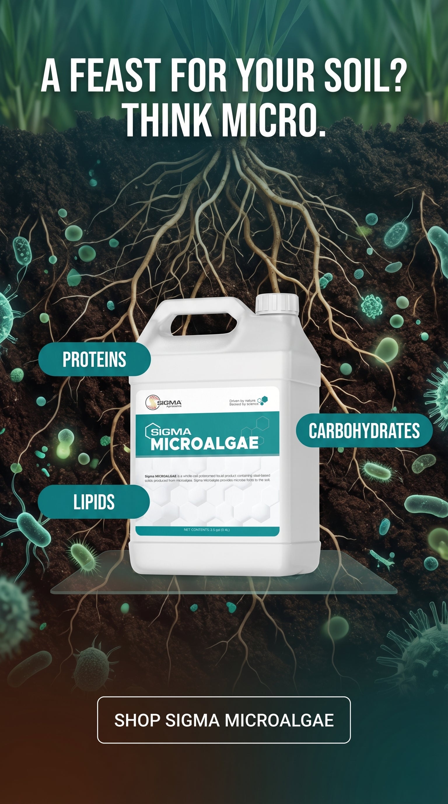 Sigma Microalgae 2.5 gallon jug with soil and root system background — whole-cell microalgae microbe food for soil biology