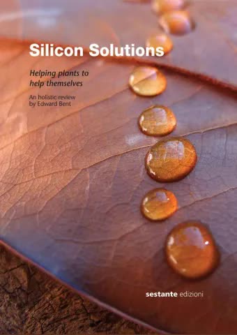 Silicon Solutions Edward Bent