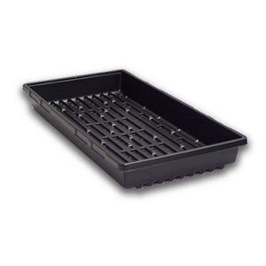Standard 10x20 tray with holes