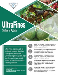 Sulfate of Potash Ultra Fines | 0-0-50 | 50 lb