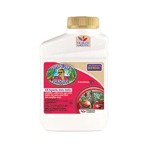 Captain Jack's Deadbug Brew Conc. quart