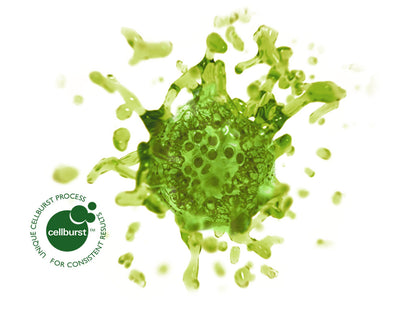 Kelpak cold cellburst process kelp extract.