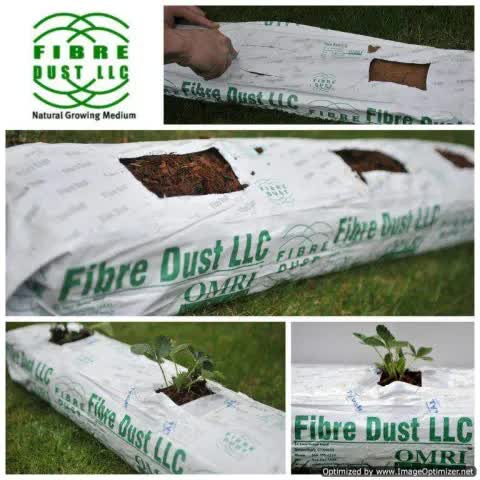 Lay Flat grow bag, 1 meter