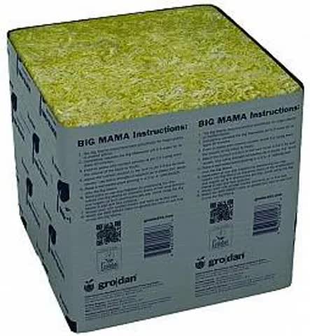 Big Mama 8x8x8 cubes case of 18
