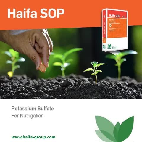Sulfate of Potash 0-0-51 Greenhouse Grade 20 lb.