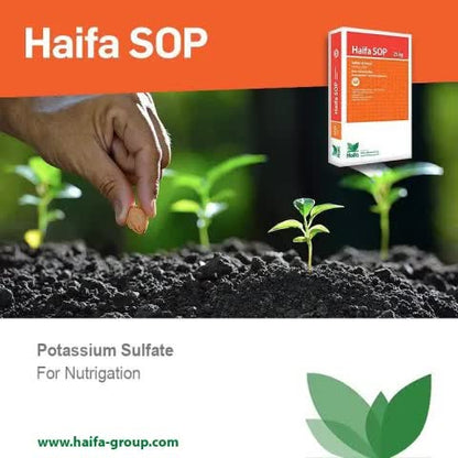 Haifa SOP soluble fertilizer or fertigation and hydroponics.