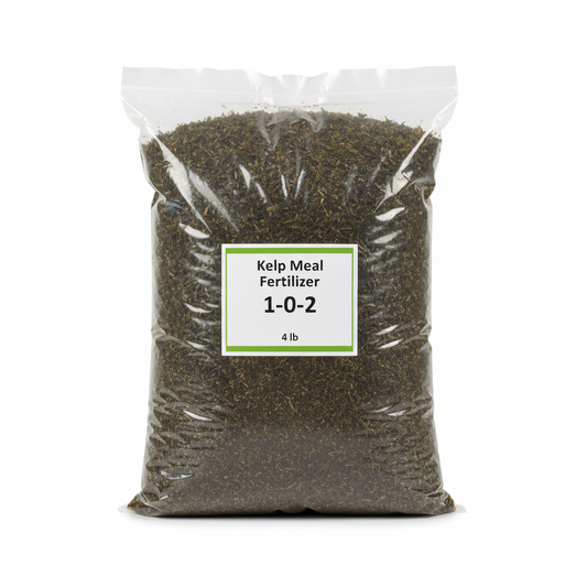 Kelp meal fertilizer 1-0-2 4 lb clear resealable ziplock bag with dark green-brown kelp meal inside