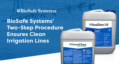 Biosafe systems two step procedure of GreenClean and SaniDate 5.0 ensures clean irrigation lines.