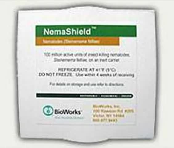 NemaShield 100 million beneficial nematodes